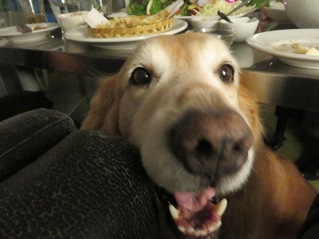 ファイル 4983-4.jpg