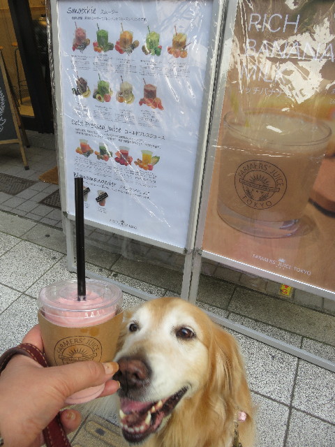 ファイル 4985-2.jpg