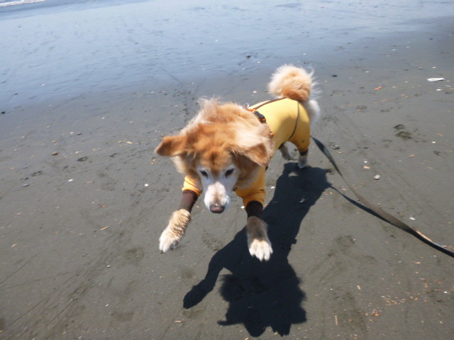 ファイル 4987-2.jpg