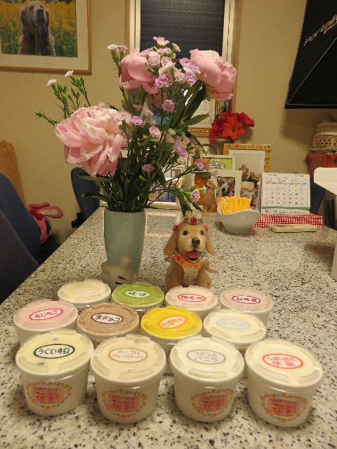 ファイル 4987-3.jpg