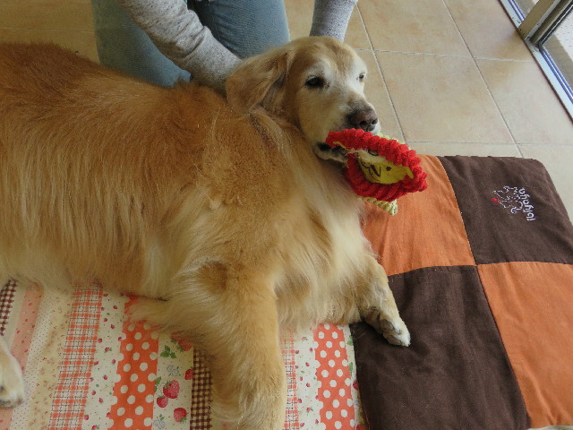 ファイル 4988-2.jpg