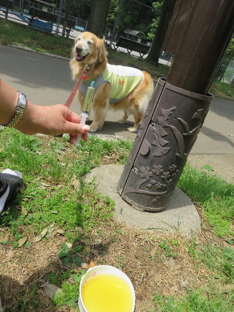 ファイル 4989-1.jpg