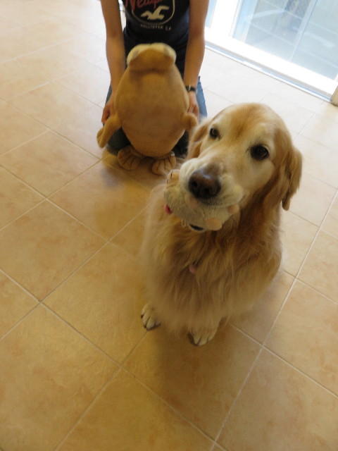 ファイル 4989-4.jpg