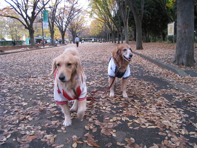 ファイル 499-1.jpg