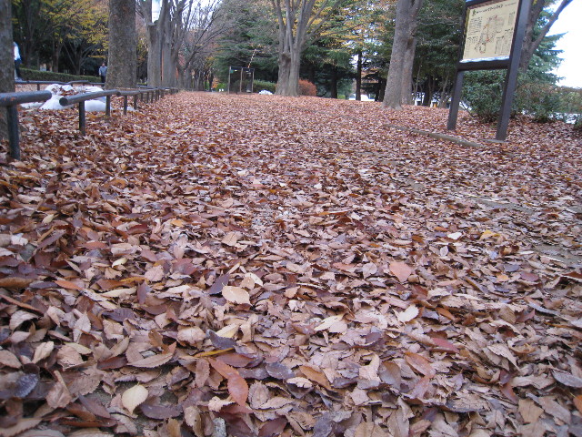 ファイル 499-3.jpg