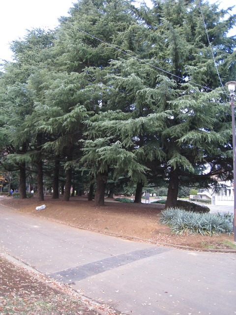 ファイル 499-5.jpg