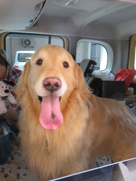 ファイル 4990-1.jpg