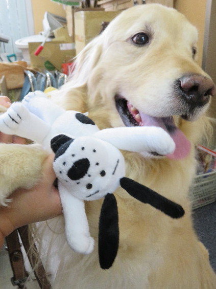 ファイル 4990-2.jpg