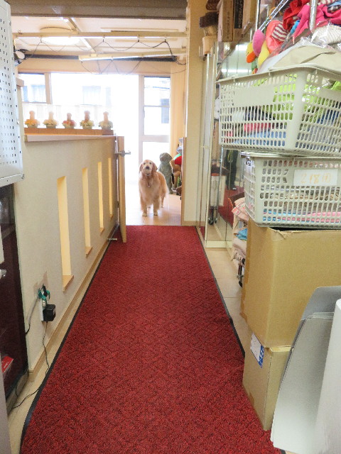 ファイル 4990-4.jpg