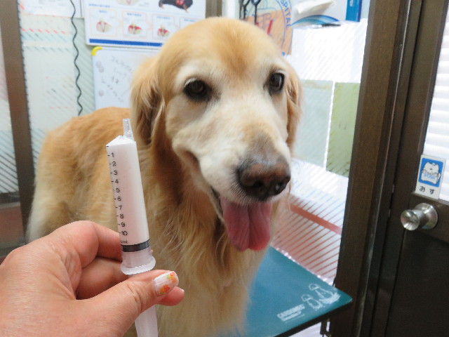 ファイル 4991-1.jpg