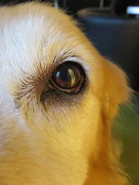 ファイル 4991-2.jpg