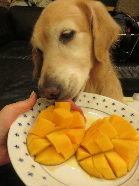 ファイル 4992-1.jpg