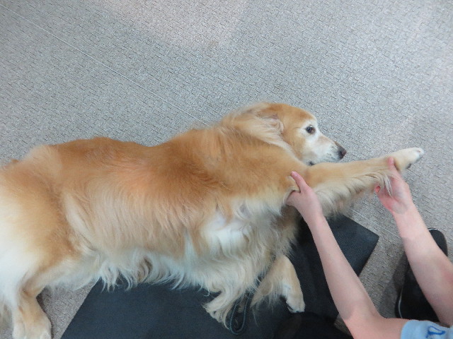 ファイル 4992-2.jpg