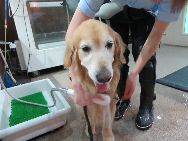 ファイル 4992-3.jpg