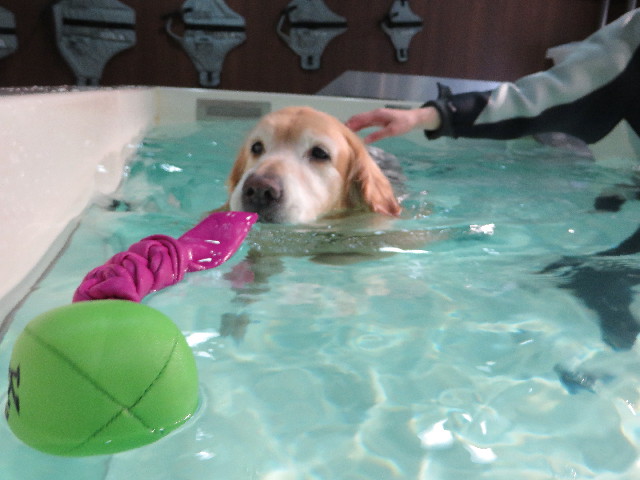 ファイル 4992-4.jpg