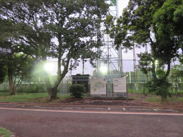 ファイル 4993-1.jpg