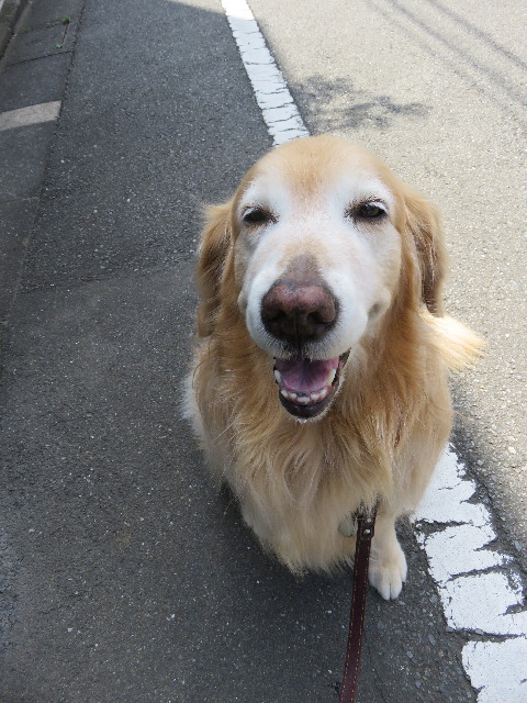 ファイル 4993-3.jpg