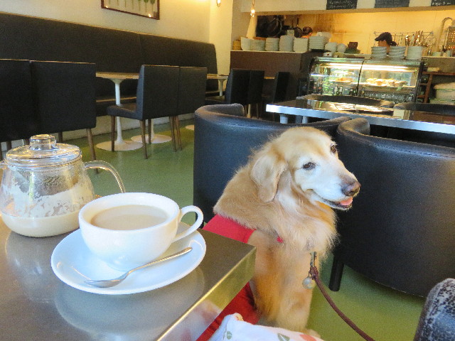 ファイル 4994-3.jpg