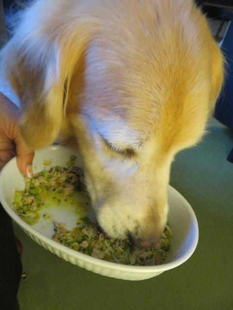 ファイル 4994-4.jpg