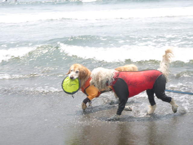 ファイル 4997-4.jpg