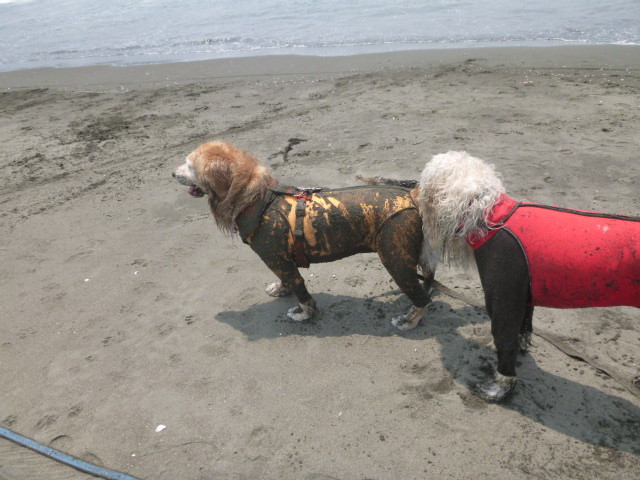 ファイル 4997-5.jpg