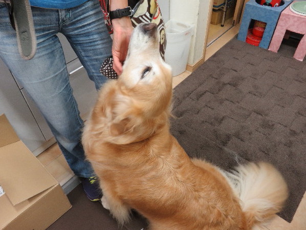 ファイル 4998-3.jpg