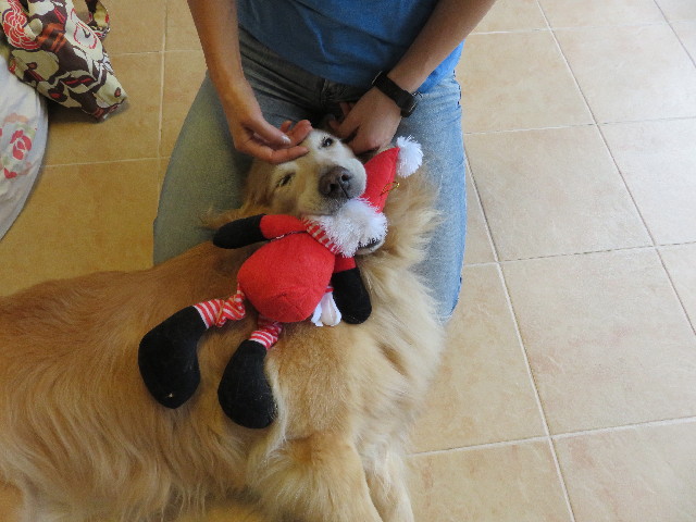 ファイル 4998-5.jpg