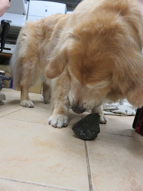 ファイル 4999-2.jpg