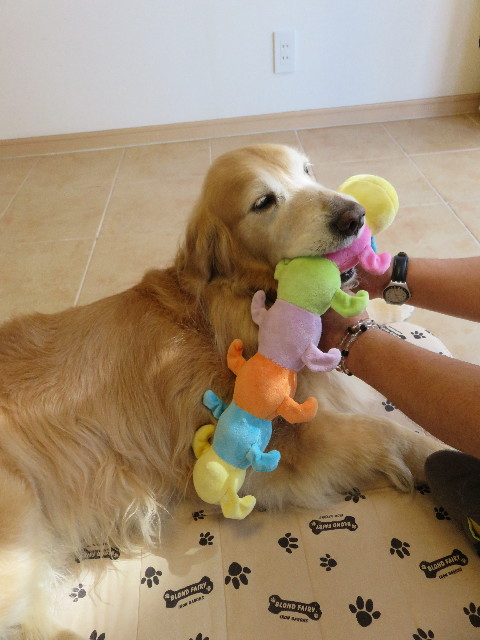 ファイル 4999-4.jpg