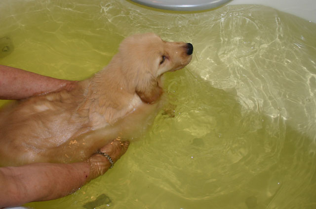 ファイル 5-2.jpg