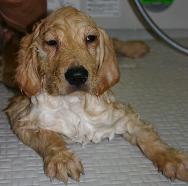 ファイル 5-3.jpg