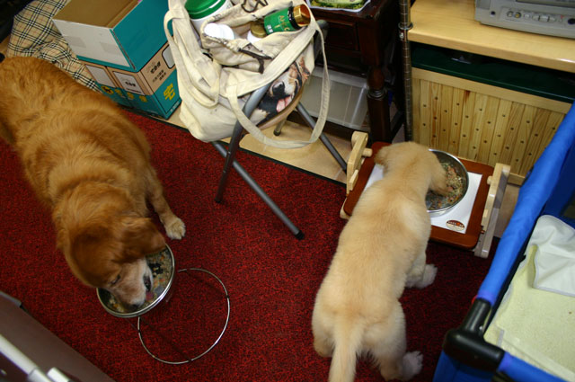 ファイル 5-4.jpg