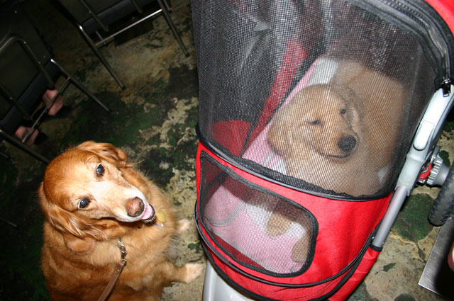 ファイル 5-5.jpg