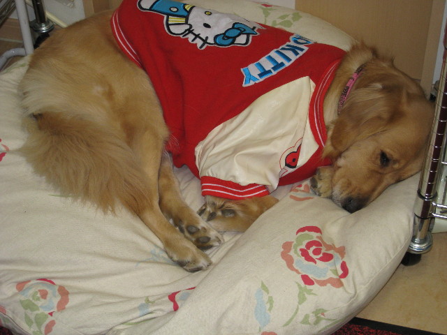 ファイル 500-1.jpg