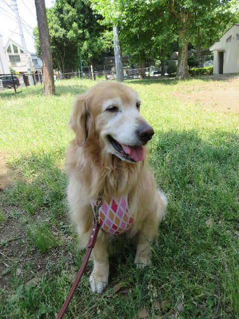 ファイル 5000-1.jpg