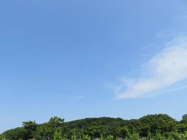 ファイル 5000-2.jpg