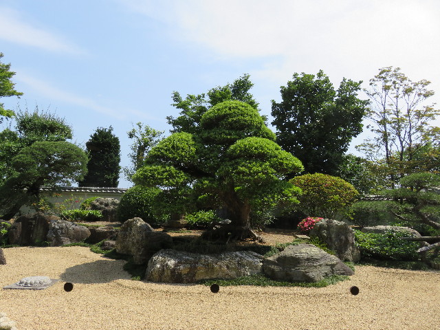 ファイル 5000-3.jpg