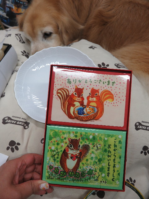 ファイル 5000-4.jpg