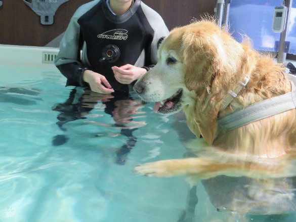 ファイル 5001-1.jpg