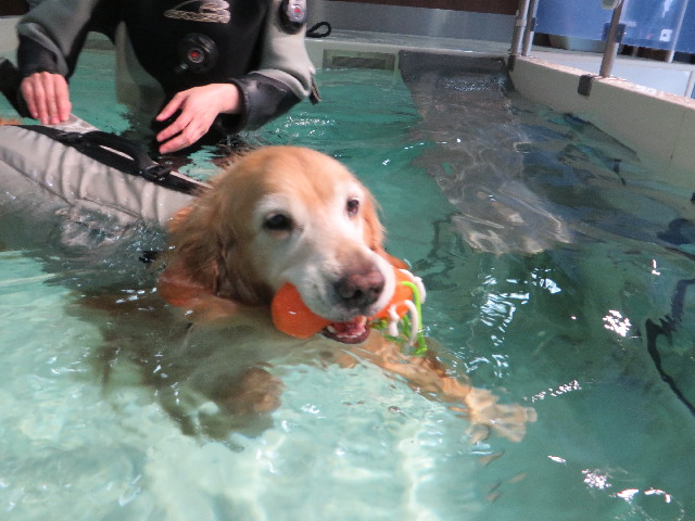 ファイル 5001-2.jpg