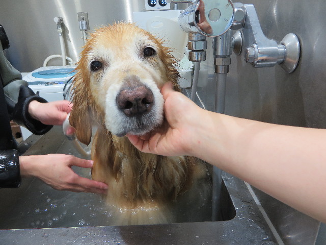 ファイル 5001-5.jpg