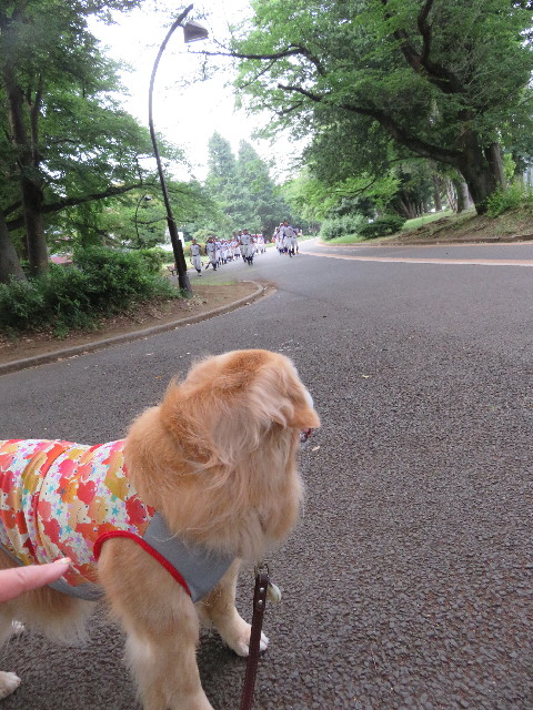 ファイル 5002-3.jpg