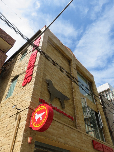 ファイル 5004-1.jpg