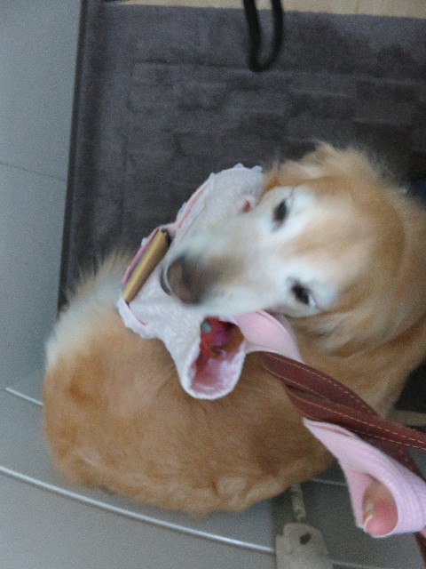 ファイル 5004-2.jpg