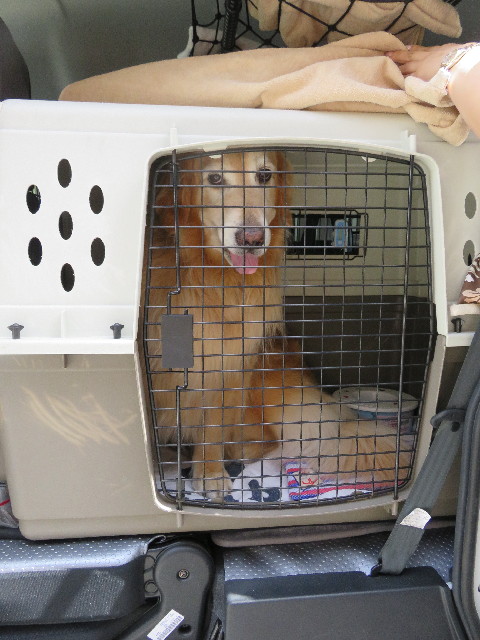 ファイル 5004-3.jpg