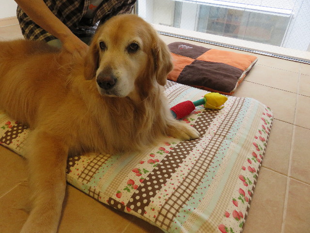 ファイル 5006-1.jpg