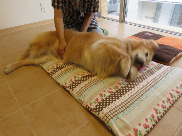 ファイル 5006-2.jpg