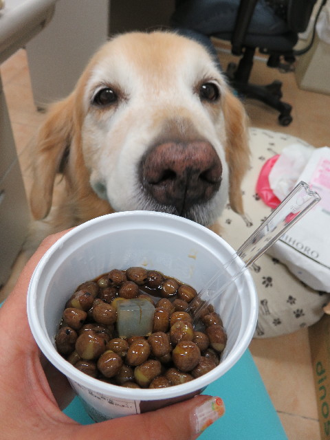 ファイル 5006-4.jpg