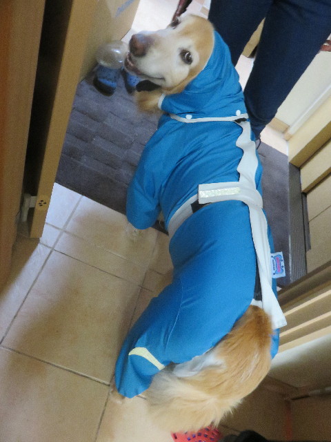 ファイル 5009-2.jpg