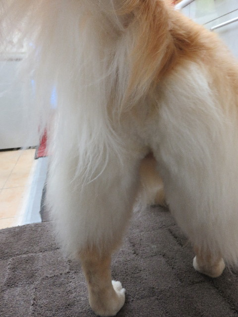 ファイル 5009-4.jpg